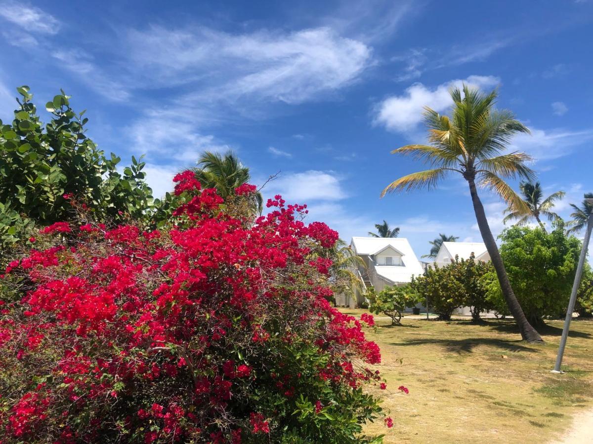 Sandy Ground Sweet Home Sxm Baie Nettle Pieds Dans L'Eau מראה חיצוני תמונה