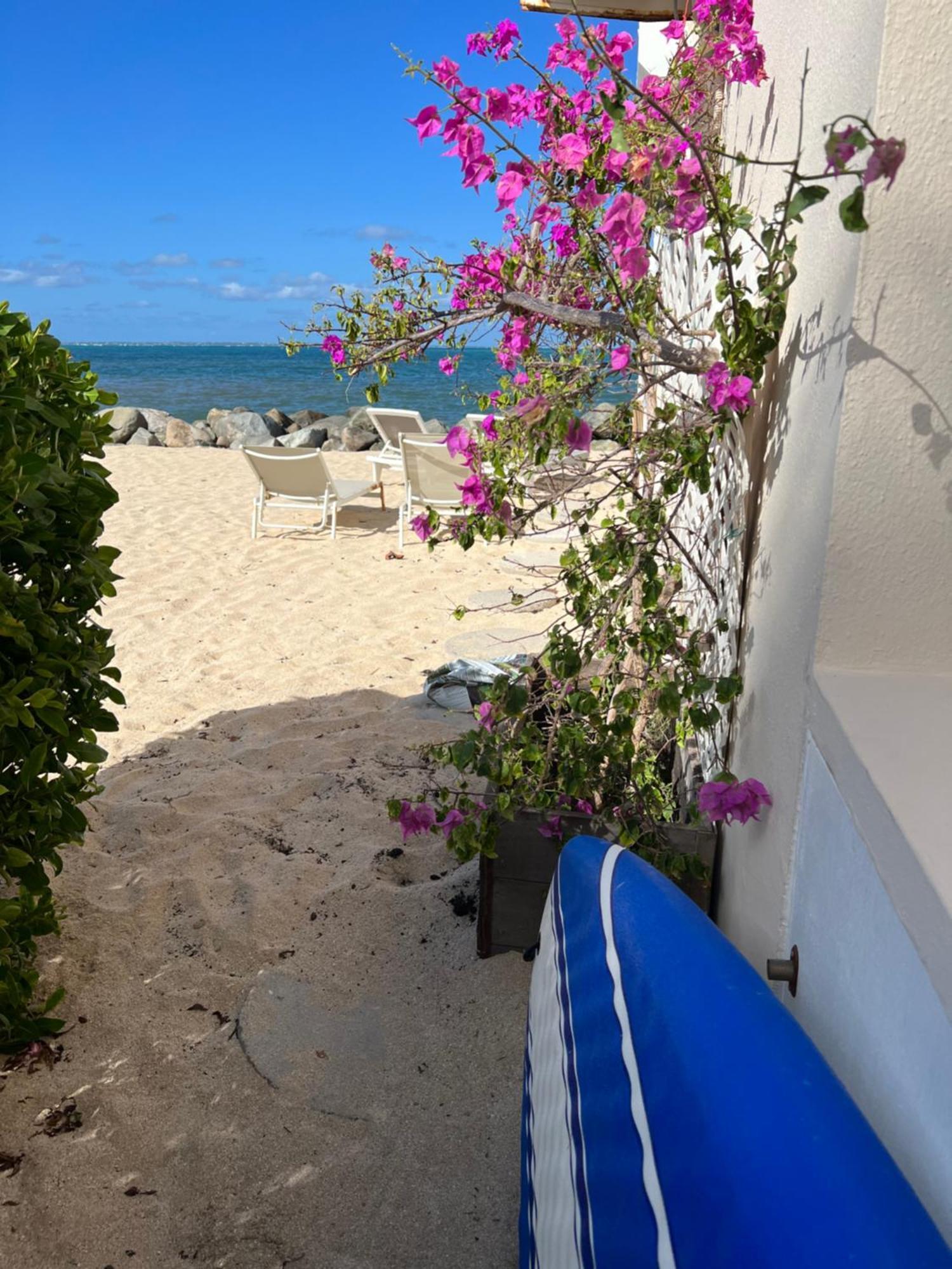 Sandy Ground Sweet Home Sxm Baie Nettle Pieds Dans L'Eau מראה חיצוני תמונה
